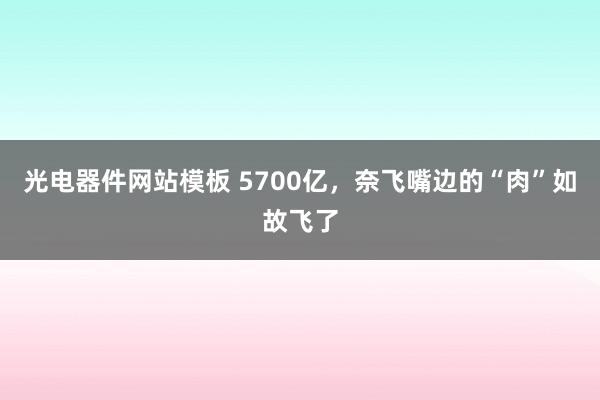 光电器件网站模板 5700亿，奈飞嘴边的“肉”如故飞了