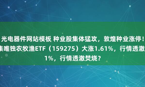 光电器件网站模板 种业股集体猛攻，敦煌种业涨停！全市集唯独农牧渔ETF（159275）大涨1.61%，行情透澈焚烧？