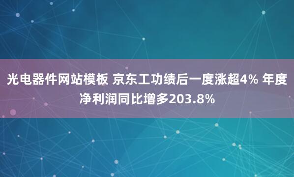 光电器件网站模板 京东工功绩后一度涨超4% 年度净利润同比增多203.8%