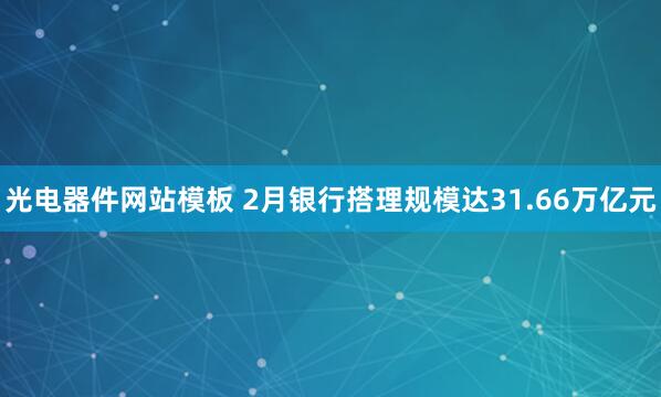 光电器件网站模板 2月银行搭理规模达31.66万亿元