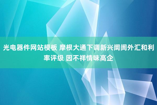光电器件网站模板 摩根大通下调新兴阛阓外汇和利率评级 因不祥情味高企