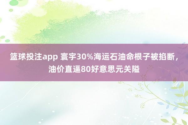 篮球投注app 寰宇30%海运石油命根子被掐断，油价直逼80好意思元关隘