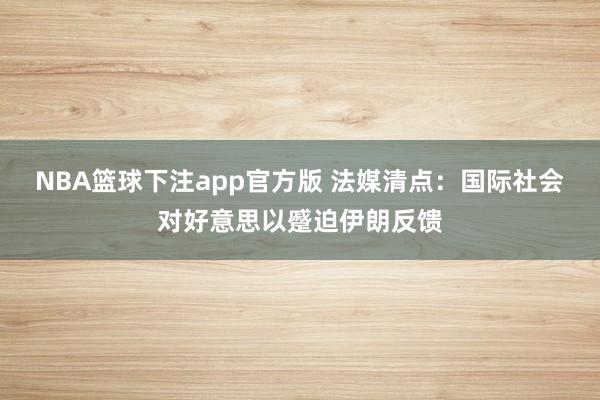 NBA篮球下注app官方版 法媒清点：国际社会对好意思以蹙迫伊朗反馈