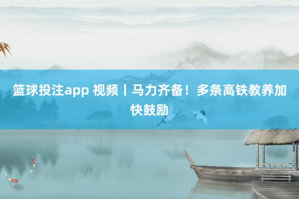 篮球投注app 视频丨马力齐备！多条高铁教养加快鼓励
