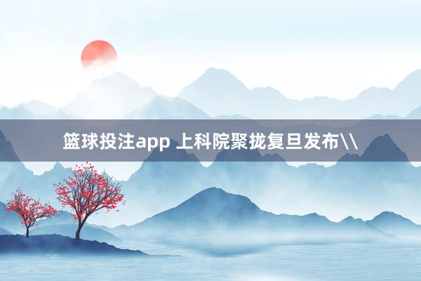 篮球投注app 上科院聚拢复旦发布\