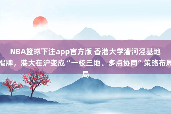NBA篮球下注app官方版 香港大学漕河泾基地揭牌，港大在沪变成“一校三地、多点协同”策略布局