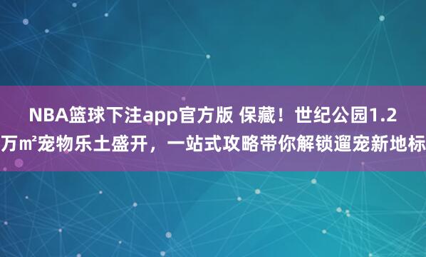NBA篮球下注app官方版 保藏！世纪公园1.2万㎡宠物乐土盛开，一站式攻略带你解锁遛宠新地标
