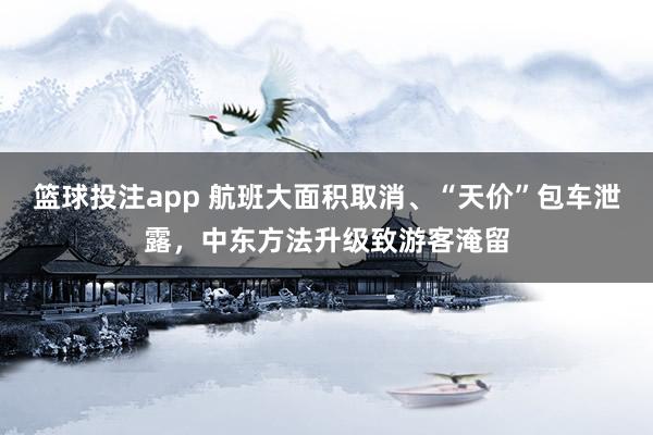 篮球投注app 航班大面积取消、“天价”包车泄露，中东方法升级致游客淹留