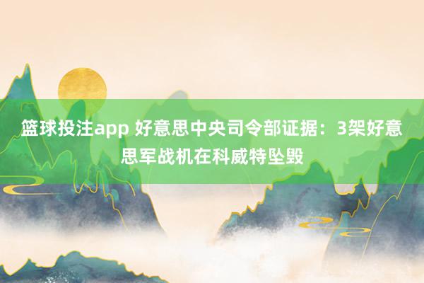 篮球投注app 好意思中央司令部证据：3架好意思军战机在科威特坠毁