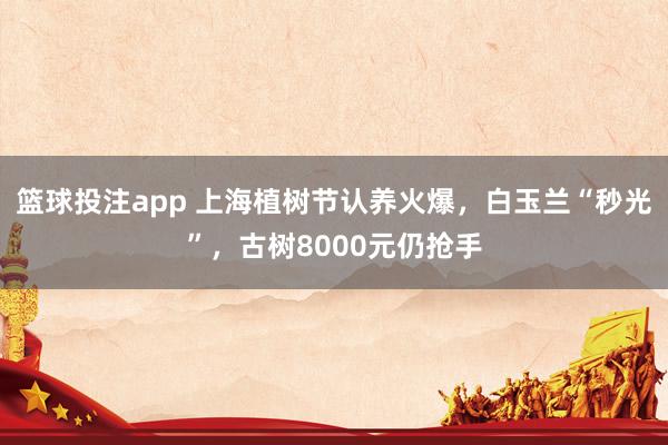 篮球投注app 上海植树节认养火爆，白玉兰“秒光”，古树8000元仍抢手