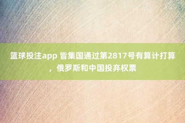 篮球投注app 皆集国通过第2817号有算计打算，俄罗斯和中国投弃权票