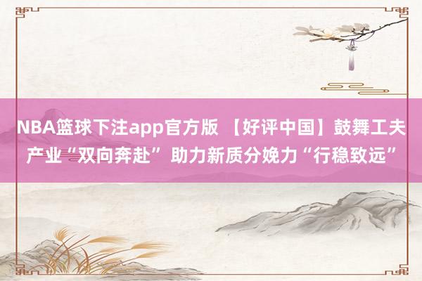 NBA篮球下注app官方版 【好评中国】鼓舞工夫产业“双向奔赴” 助力新质分娩力“行稳致远”