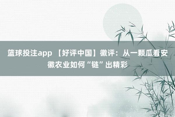 篮球投注app 【好评中国】徽评：从一颗瓜看安徽农业如何“链”出精彩