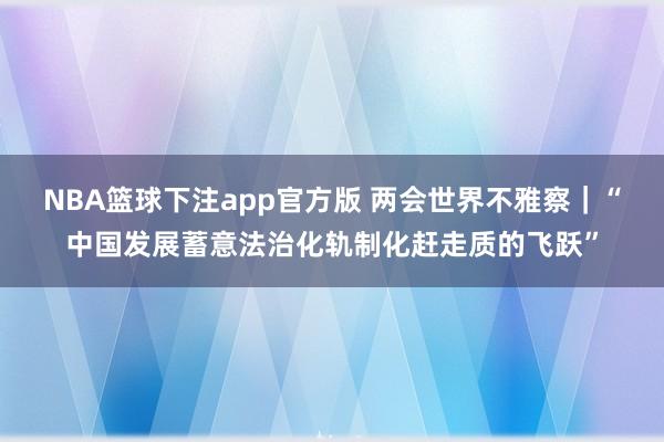 NBA篮球下注app官方版 两会世界不雅察｜“中国发展蓄意法治化轨制化赶走质的飞跃”