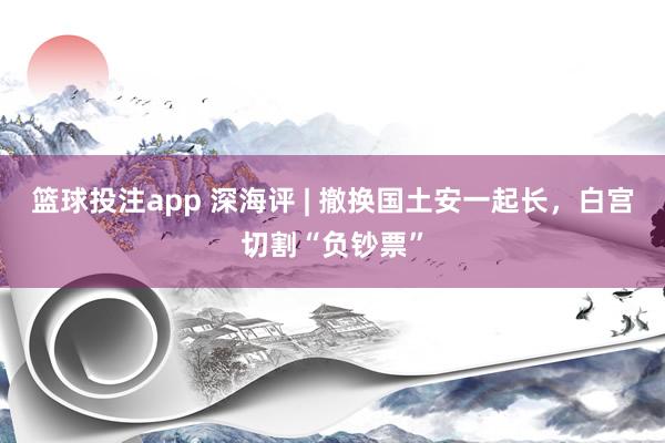 篮球投注app 深海评 | 撤换国土安一起长，白宫切割“负钞票”