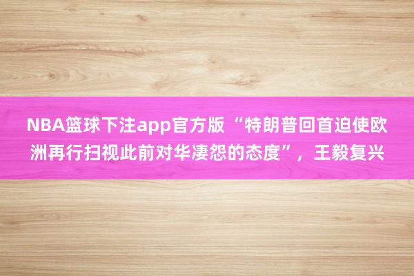 NBA篮球下注app官方版 “特朗普回首迫使欧洲再行扫视此前对华凄怨的态度”，王毅复兴
