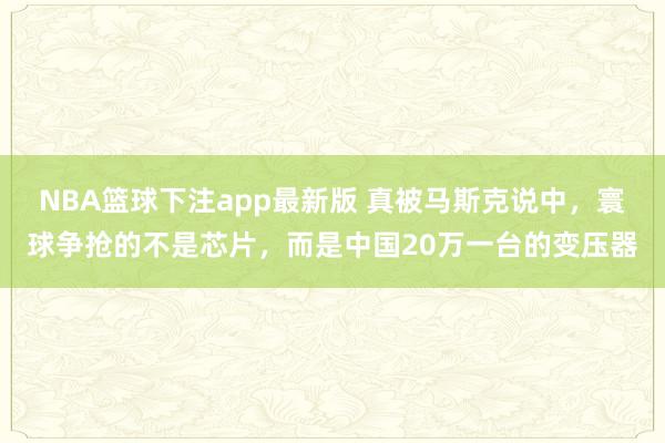 NBA篮球下注app最新版 真被马斯克说中，寰球争抢的不是芯片，而是中国20万一台的变压器
