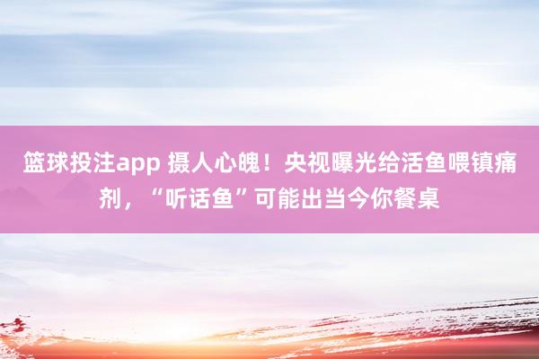 篮球投注app 摄人心魄！央视曝光给活鱼喂镇痛剂，“听话鱼”可能出当今你餐桌