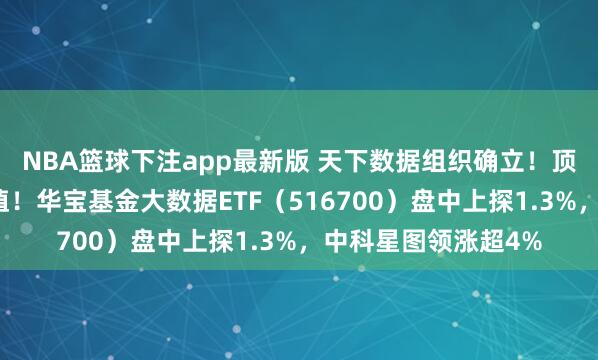 NBA篮球下注app最新版 天下数据组织确立！顶层强调数据资源价值！华宝基金大数据ETF（516700）盘中上探1.3%，中科星图领涨超4%