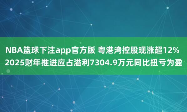 NBA篮球下注app官方版 粤港湾控股现涨超12% 2025财年推进应占溢利7304.9万元同比扭亏为盈