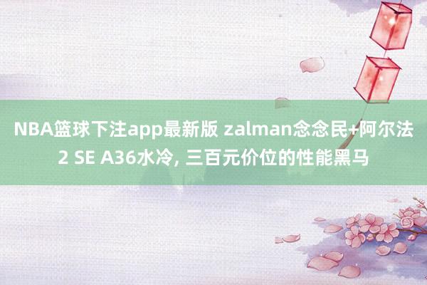 NBA篮球下注app最新版 zalman念念民+阿尔法2 SE A36水冷， 三百元价位的性能黑马
