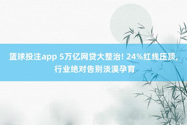 篮球投注app 5万亿网贷大整治! 24%红线压顶， 行业绝对告别淡漠孕育