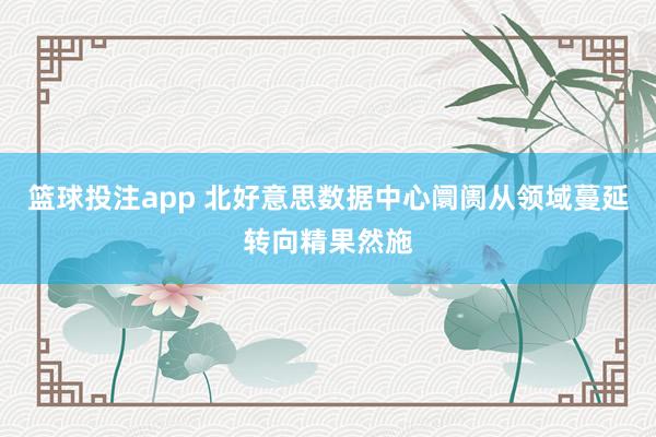 篮球投注app 北好意思数据中心阛阓从领域蔓延转向精果然施