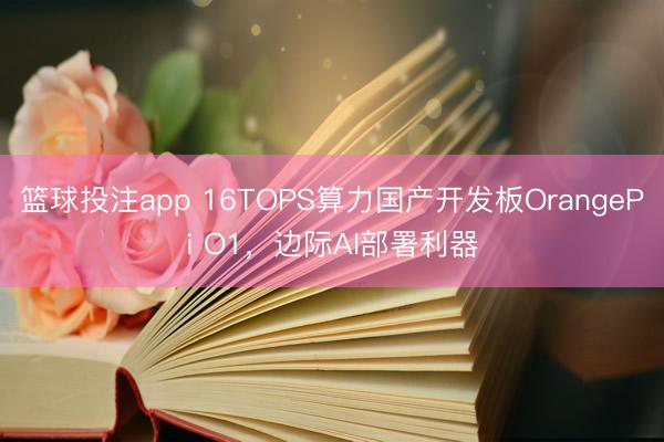 篮球投注app 16TOPS算力国产开发板OrangePi O1，边际AI部署利器