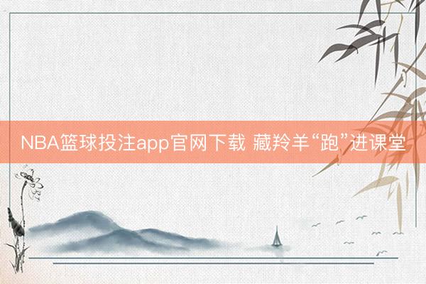 NBA篮球投注app官网下载 藏羚羊“跑”进课堂