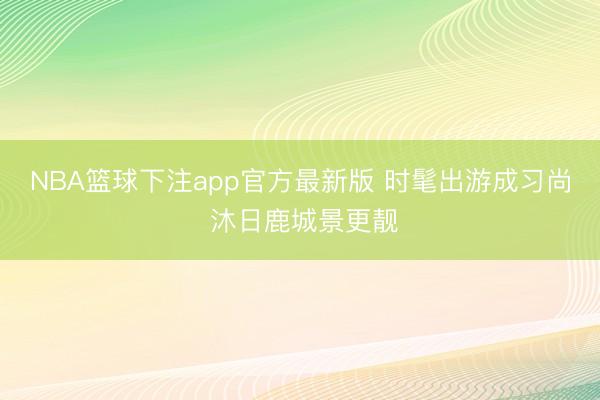NBA篮球下注app官方最新版 时髦出游成习尚 沐日鹿城景更靓