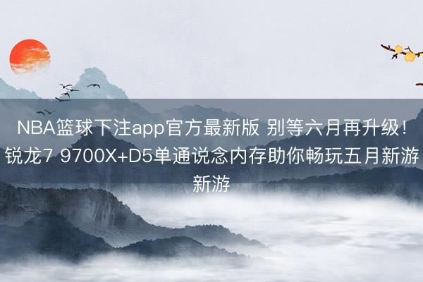 NBA篮球下注app官方最新版 别等六月再升级！锐龙7 9700X+D5单通说念内存助你畅玩五月新游