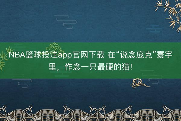 NBA篮球投注app官网下载 在“说念庞克”寰宇里，作念一只最硬的猫！