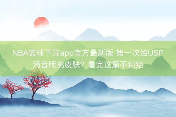 NBA篮球下注app官方最新版 第一次给USP消音版挑皮肤？看完这篇不纠结