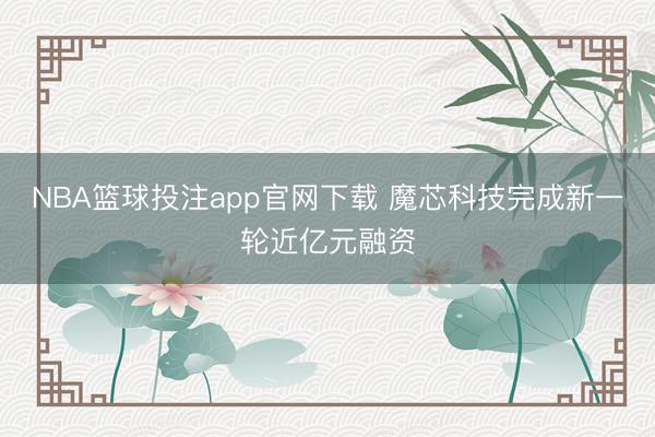 NBA篮球投注app官网下载 魔芯科技完成新一轮近亿元融资