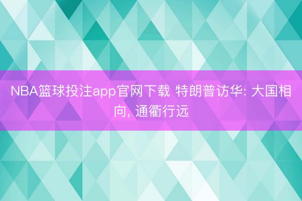 NBA篮球投注app官网下载 特朗普访华: 大国相向， 通衢行远