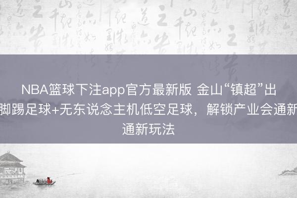 NBA篮球下注app官方最新版 金山“镇超”出圈：脚踢足球+无东说念主机低空足球，解锁产业会通新玩法