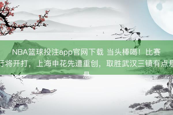 NBA篮球投注app官网下载 当头棒喝！比赛行将开打，上海申花先遭重创，取胜武汉三镇有点悬