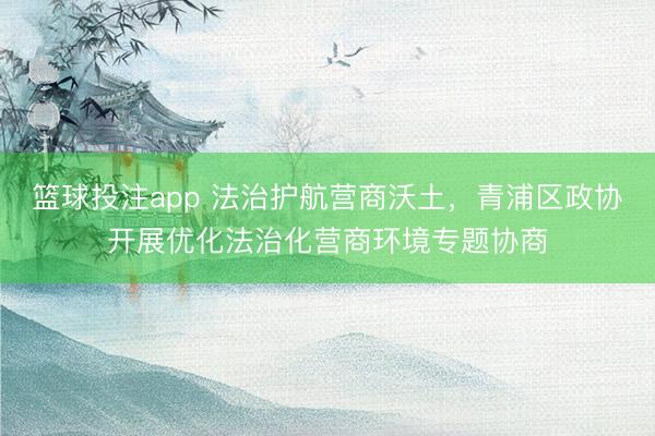 篮球投注app 法治护航营商沃土，青浦区政协开展优化法治化营商环境专题协商