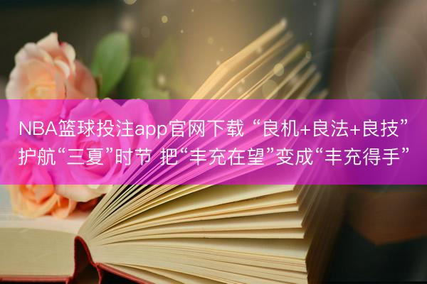 NBA篮球投注app官网下载 “良机+良法+良技”护航“三夏”时节 把“丰充在望”变成“丰充得手”