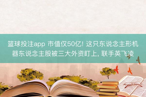 篮球投注app 市值仅50亿! 这只东说念主形机器东说念主股被三大外资盯上， 联手英飞凌