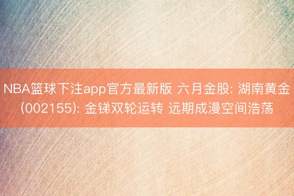 NBA篮球下注app官方最新版 六月金股: 湖南黄金(002155): 金锑双轮运转 远期成漫空间浩荡
