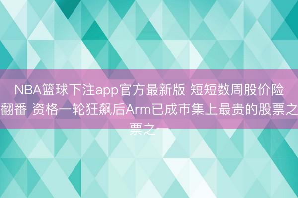 NBA篮球下注app官方最新版 短短数周股价险些翻番 资格一轮狂飙后Arm已成市集上最贵的股票之一