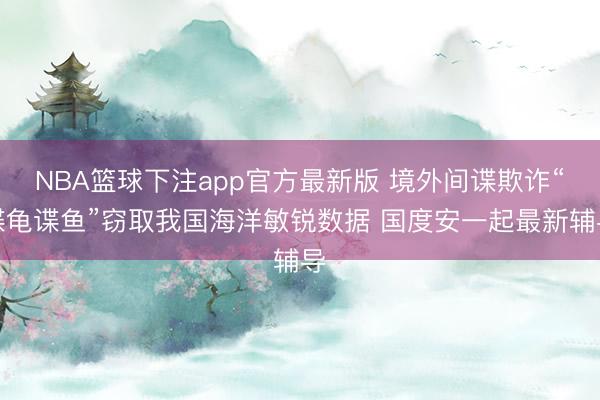NBA篮球下注app官方最新版 境外间谍欺诈“谍龟谍鱼”窃取我国海洋敏锐数据 国度安一起最新辅导
