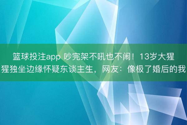 篮球投注app 吵完架不吼也不闹！13岁大猩猩独坐边缘怀疑东谈主生，网友：像极了婚后的我