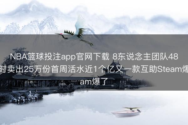 NBA篮球投注app官网下载 8东说念主团队48小时卖出25万份首周活水近1个亿又一款互助Steam爆了