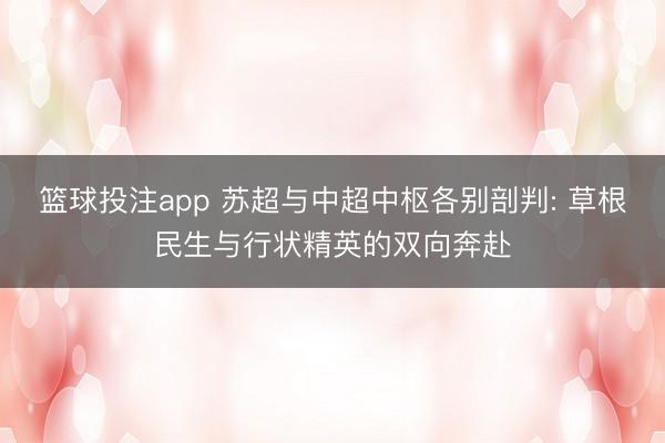 篮球投注app 苏超与中超中枢各别剖判: 草根民生与行状精英的双向奔赴
