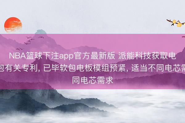 NBA篮球下注app官方最新版 派能科技获取电板包有关专利， 已毕软包电板模组预紧， 适当不同电芯需求