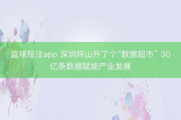 篮球投注app 深圳坪山开了个“数据超市” 30亿条数据赋能产业发展