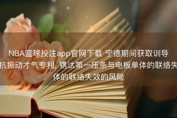 NBA篮球投注app官网下载 宁德期间获取训导电板安装抗振动才气专利， 镌汰第一压条与电板单体的联络失效的风险
