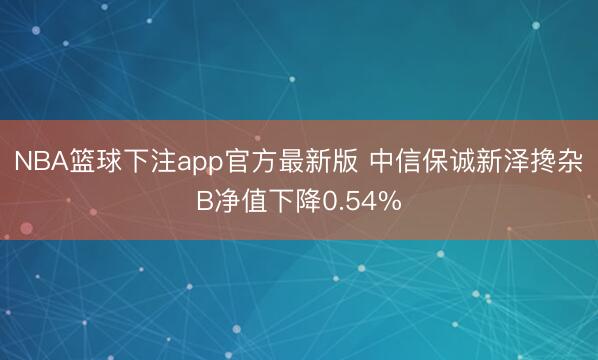 NBA篮球下注app官方最新版 中信保诚新泽搀杂B净值下降0.54%